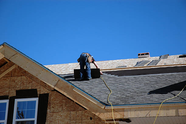 Best Sheet Metal Roofing  in Dane, WI