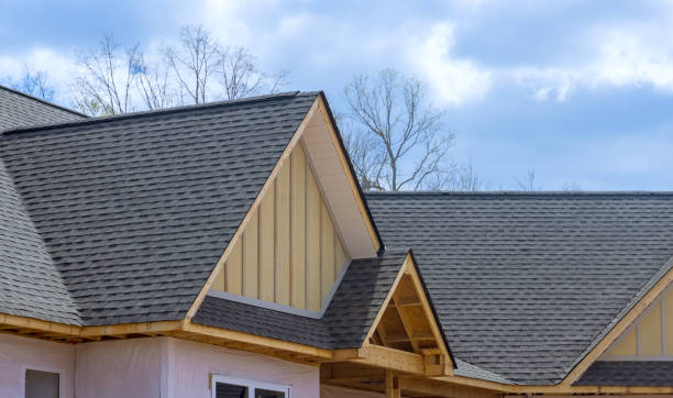 Best Asphalt Shingle Roofing  in Dane, WI