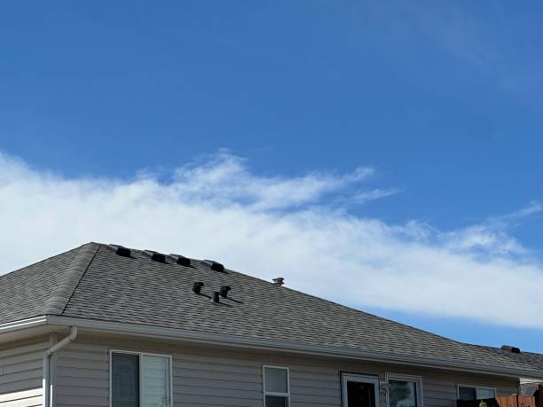 Best Roof Coating and Sealing  in Dane, WI