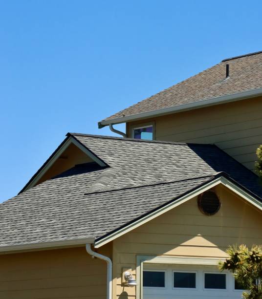 Best Green or Eco-Friendly Roofing Solutions  in Dane, WI